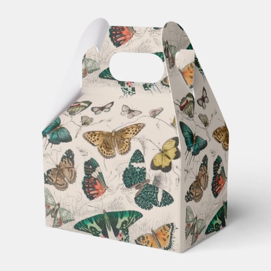 Butterfly Collection Antike Schmetterlinge Geschenkschachtel (Vorderseite)