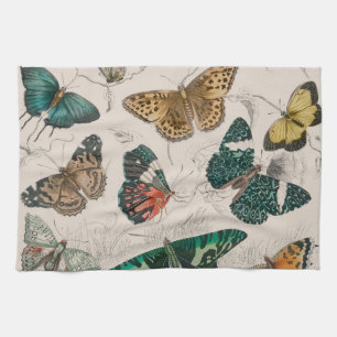 Butterfly Collection Antike Schmetterlinge Geschirrtuch