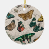 Butterfly Collection Antike Schmetterlinge Keramik Ornament (Vorne)