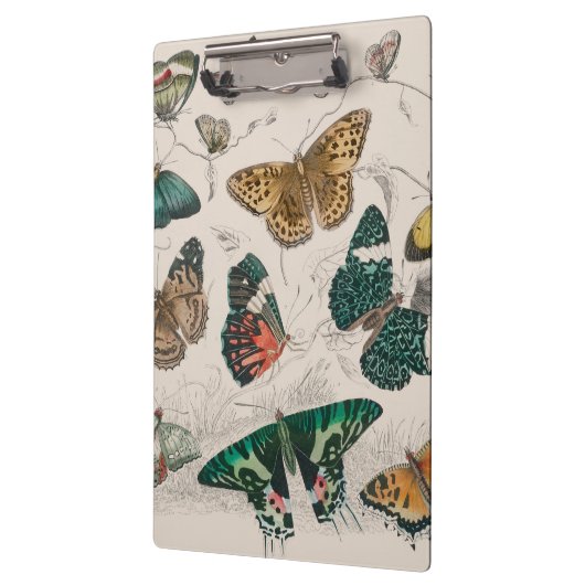 Butterfly Collection Antike Schmetterlinge Klemmbrett (Links)