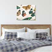Butterfly Collection Antike Schmetterlinge Leinwanddruck (Insitu (Schlafzimmer))