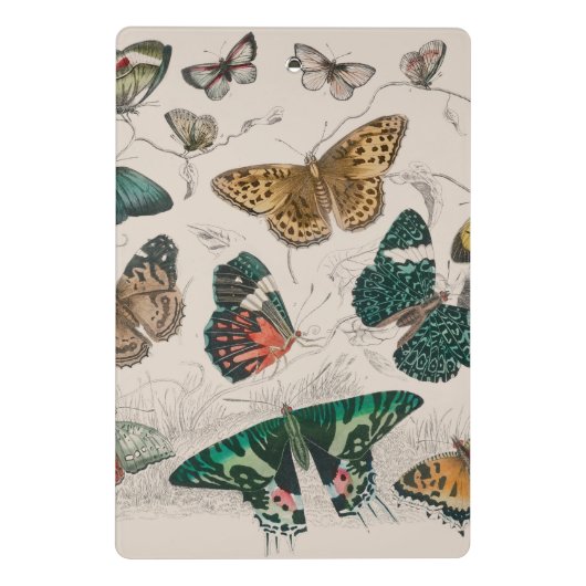 Butterfly Collection Antike Schmetterlinge Mini Klemmbrett (Rückseite)
