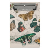 Butterfly Collection Antike Schmetterlinge Mini Klemmbrett (Vorderseite)