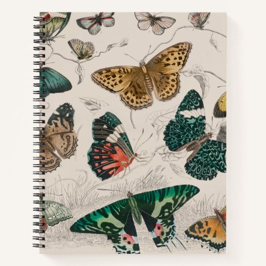 Butterfly Collection Antike Schmetterlinge Notizblock (Vorderseite)