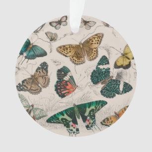 Butterfly Collection Antike Schmetterlinge Ornament