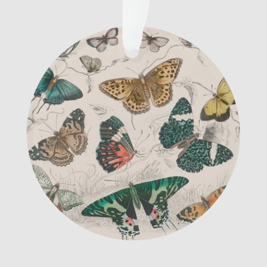 Butterfly Collection Antike Schmetterlinge Ornament (Vorderseite)