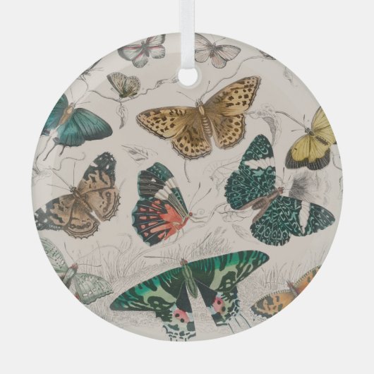Butterfly Collection Antike Schmetterlinge Ornament Aus Glas (Vorderseite)