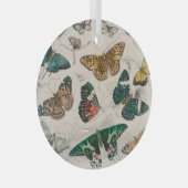 Butterfly Collection Antike Schmetterlinge Ornament Aus Glas (Vorderseite Rechts)