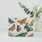 Butterfly Collection Antike Schmetterlinge Postkarte (Stehend Vorderseite)