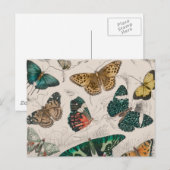 Butterfly Collection Antike Schmetterlinge Postkarte (Vorne/Hinten)