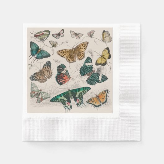Butterfly Collection Antike Schmetterlinge Serviette (Vorderseite)
