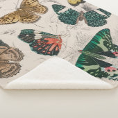Butterfly Collection Antike Schmetterlinge Sherpadecke (3/4)