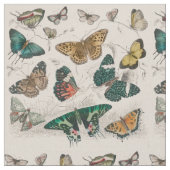 Butterfly Collection Antike Schmetterlinge Stoff (Nahaufnahme)
