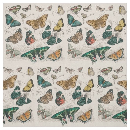 Butterfly Collection Antike Schmetterlinge Stoff (Muster)