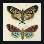 Butterfly Collection by Chariklia Zarris Quadratische Wanduhr<br><div class="desc">This painting by Chariklia Zarris is a lepidopterists' dream! An amazingly detailed print of a butterfly collection,  this piece is stunning in its use of color. Get your copy today!</div>