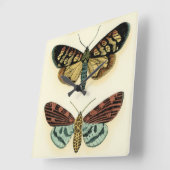 Butterfly Collection by Chariklia Zarris Quadratische Wanduhr (Winkel)