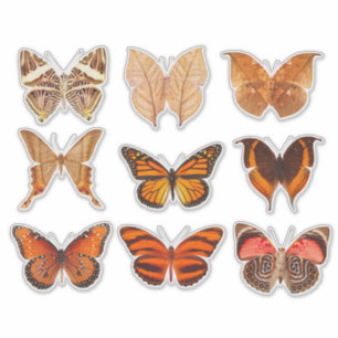 Butterfly Collection Gold Orange 14" Vinyl Sticker
