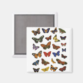 Butterfly Collection Magnet (Vorderseite/Rückseite)