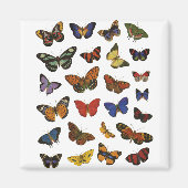 Butterfly Collection Magnet (Vorne)
