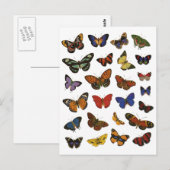 Butterfly Collection Postkarte (Vorne/Hinten)