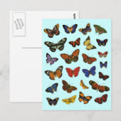 Butterfly Collection Postkarte (Vorne/Hinten)