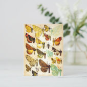 Butterfly Collection Postkarte (Stehend Vorderseite)