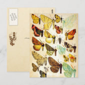 Butterfly Collection Postkarte (Vorne/Hinten)