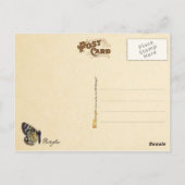 Butterfly Collection Postkarte (Rückseite)