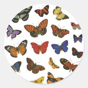 Butterfly Collection Runder Aufkleber