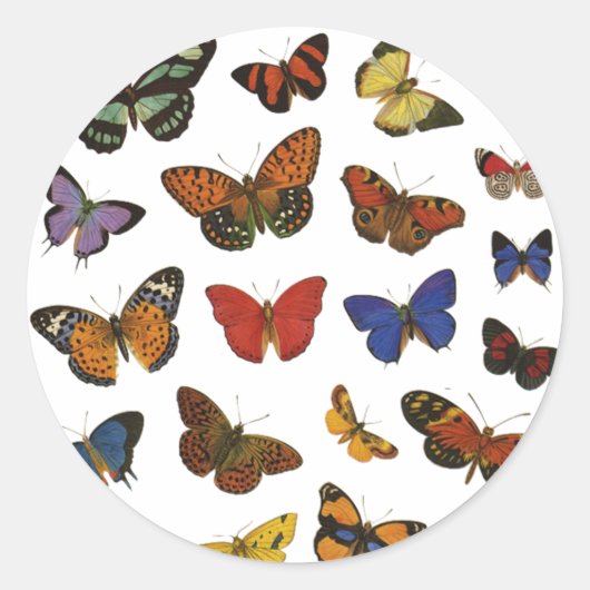 Butterfly Collection Runder Aufkleber (Vorderseite)