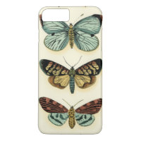 Butterfly Collection von Chariklia Zarris