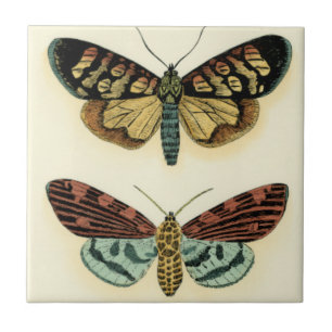Butterfly Collection von Chariklia Zarris Fliese