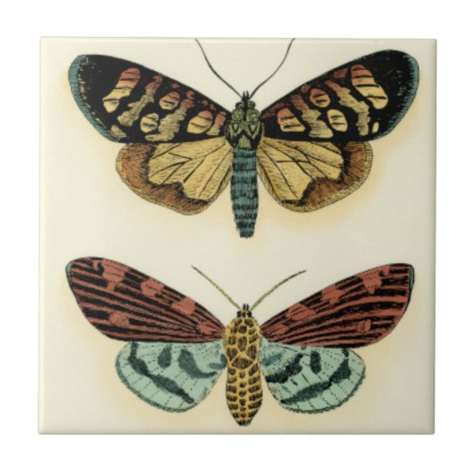 Butterfly Collection von Chariklia Zarris Fliese (Vorderseite)