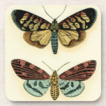 Butterfly Collection von Chariklia Zarris Getränkeuntersetzer<br><div class="desc">Dieses Gemälde von Chariklia Zarris ist ein Traum der Lepidopteristen! Ein erstaunlich detaillierter Druck einer Schmetterlingskollektion,  atemberaubend in der Farbgebung. Holen Sie sich noch heute Ihr Exemplar!</div>
