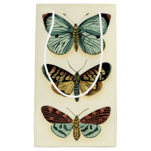 Butterfly Collection von Chariklia Zarris Kleine Geschenktüte (Vorderseite)