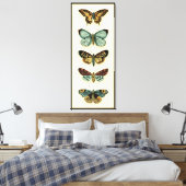Butterfly Collection von Chariklia Zarris Leinwanddruck (Insitu (Schlafzimmer))
