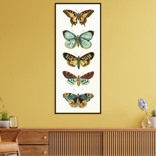 Butterfly Collection von Chariklia Zarris Leinwanddruck (Insitu (Wohnzimmer))