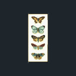 Butterfly Collection von Chariklia Zarris Leinwanddruck<br><div class="desc">Dieses Gemälde von Chariklia Zarris ist ein Traum der Lepidopteristen! Ein erstaunlich detaillierter Druck einer Schmetterlingskollektion, atemberaubend in der Farbgebung. Holen Sie sich noch heute Ihr Exemplar!</div>