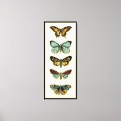 Butterfly Collection von Chariklia Zarris Leinwanddruck (Vorderseite)