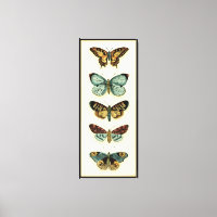 Butterfly Collection von Chariklia Zarris