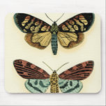 Butterfly Collection von Chariklia Zarris Mousepad<br><div class="desc">Dieses Gemälde von Chariklia Zarris ist ein Traum der Lepidopteristen! Ein erstaunlich detaillierter Druck einer Schmetterlingskollektion,  atemberaubend in der Farbgebung. Holen Sie sich noch heute Ihr Exemplar!</div>