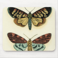 Butterfly Collection von Chariklia Zarris