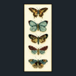 Butterfly Collection von Chariklia Zarris Poster<br><div class="desc">Dieses Gemälde von Chariklia Zarris ist ein Traum der Lepidopteristen! Ein erstaunlich detaillierter Druck einer Schmetterlingskollektion,  atemberaubend in der Farbgebung. Holen Sie sich noch heute Ihr Exemplar!</div>