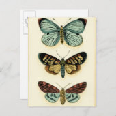 Butterfly Collection von Chariklia Zarris Postkarte (Vorne/Hinten)