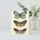 Butterfly Collection von Chariklia Zarris Postkarte (Stehend Vorderseite)