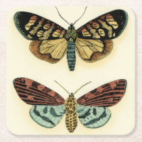 Butterfly Collection von Chariklia Zarris