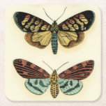 Butterfly Collection von Chariklia Zarris Rechteckiger Pappuntersetzer<br><div class="desc">Dieses Gemälde von Chariklia Zarris ist ein Traum der Lepidopteristen! Ein erstaunlich detaillierter Druck einer Schmetterlingskollektion,  atemberaubend in der Farbgebung. Holen Sie sich noch heute Ihr Exemplar!</div>