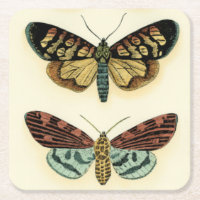 Butterfly Collection von Chariklia Zarris