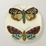 Butterfly Collection von Chariklia Zarris Rundes Kissen<br><div class="desc">Dieses Gemälde von Chariklia Zarris ist ein Traum der Lepidopteristen! Ein erstaunlich detaillierter Druck einer Schmetterlingskollektion,  atemberaubend in der Farbgebung. Holen Sie sich noch heute Ihr Exemplar!</div>