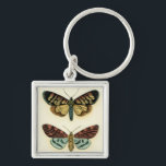 Butterfly Collection von Chariklia Zarris Schlüsselanhänger<br><div class="desc">Dieses Gemälde von Chariklia Zarris ist ein Traum der Lepidopteristen! Ein erstaunlich detaillierter Druck einer Schmetterlingskollektion,  atemberaubend in der Farbgebung. Holen Sie sich noch heute Ihr Exemplar!</div>